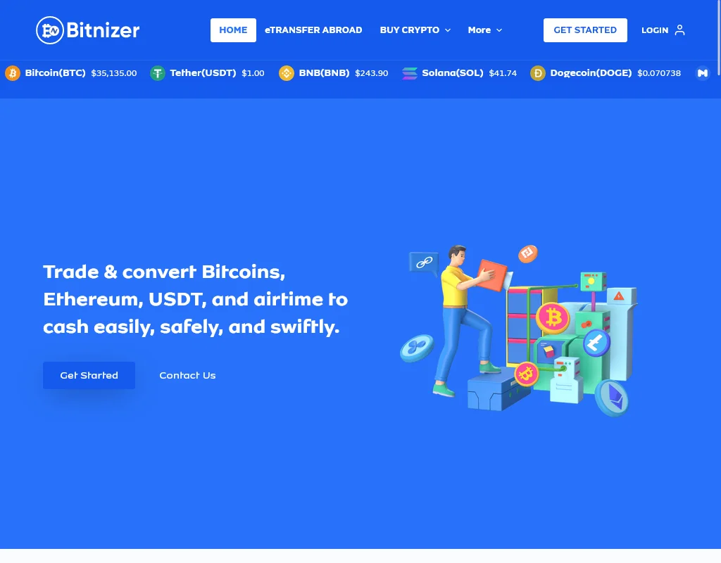 Bitnizer Web Design Project Image