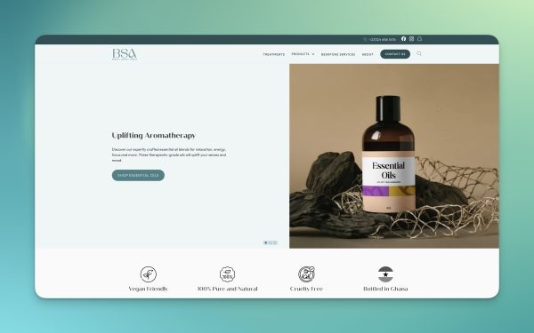 bsa-hero